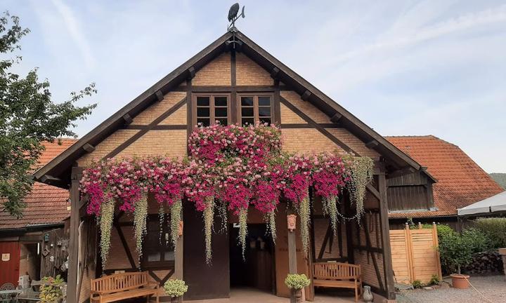 Landhotel Der Schafhof Amorbach